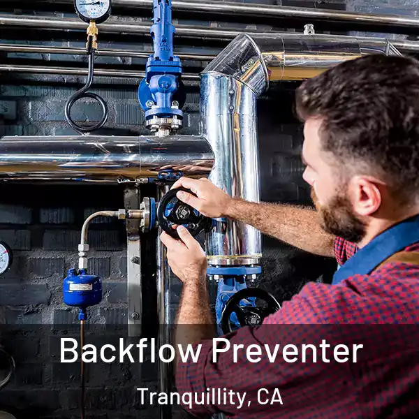  Backflow Preventer Tranquillity, CA