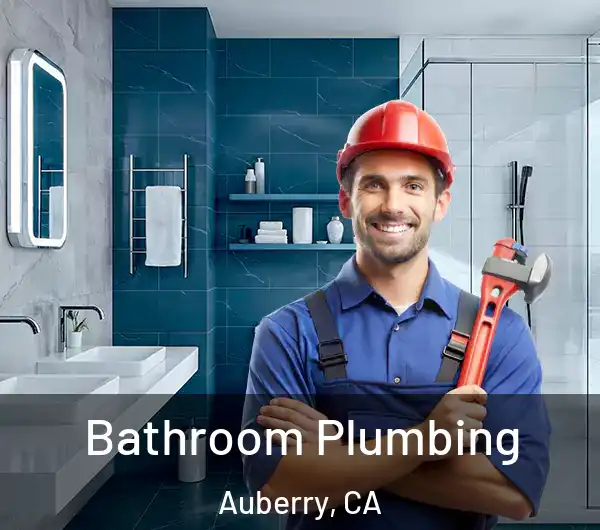  Bathroom Plumbing Auberry, CA