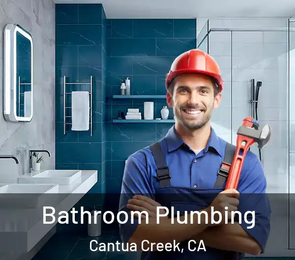  Bathroom Plumbing Cantua Creek, CA