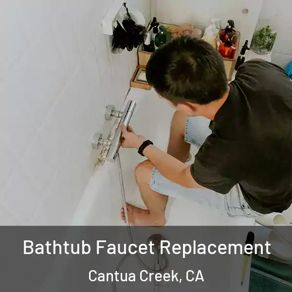  Bathtub Faucet Replacement Cantua Creek, CA