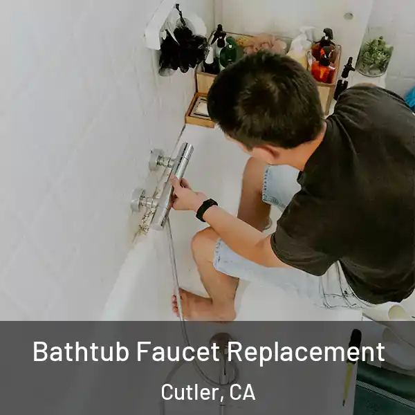  Bathtub Faucet Replacement Cutler, CA
