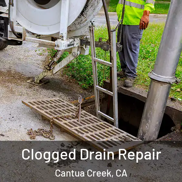  Clogged Drain Repair Cantua Creek, CA