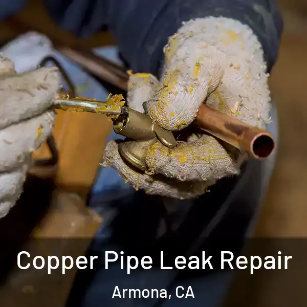  Copper Pipe Leak Repair Armona, CA