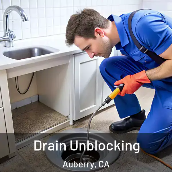  Drain Unblocking Auberry, CA