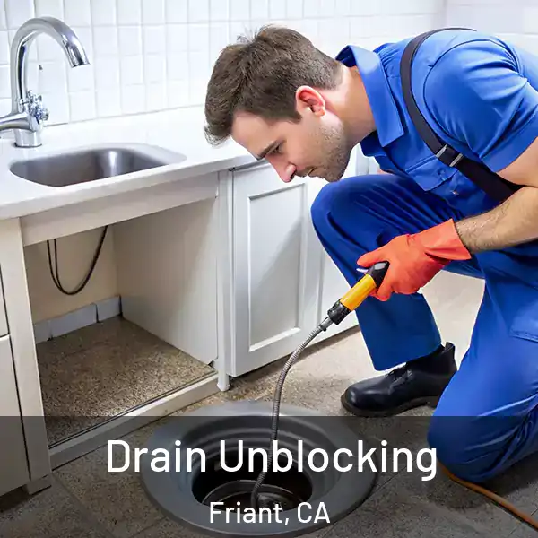  Drain Unblocking Friant, CA