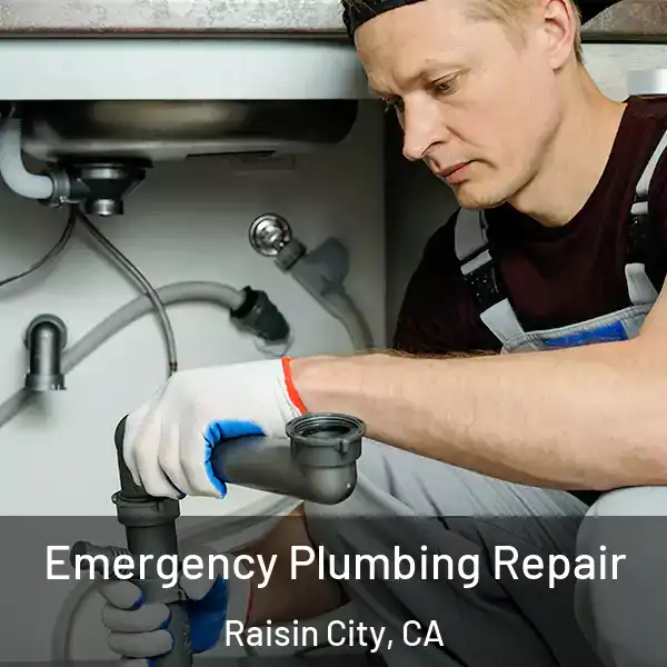  Emergency Plumbing Repair Raisin City, CA