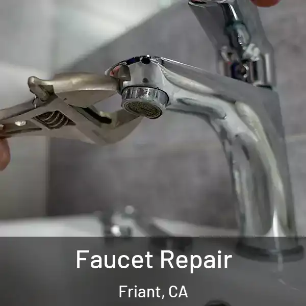  Faucet Repair Friant, CA