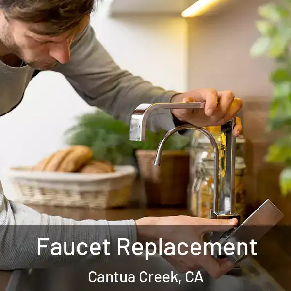  Faucet Replacement Cantua Creek, CA