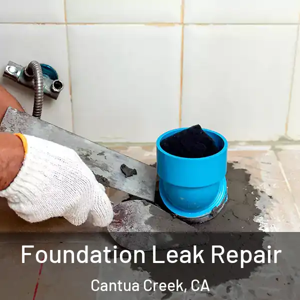 Foundation Leak Repair Cantua Creek, CA