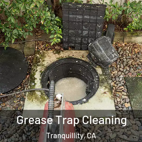  Grease Trap Cleaning Tranquillity, CA