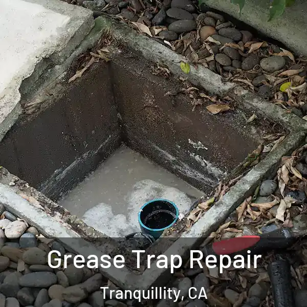 Grease Trap Repair Tranquillity, CA