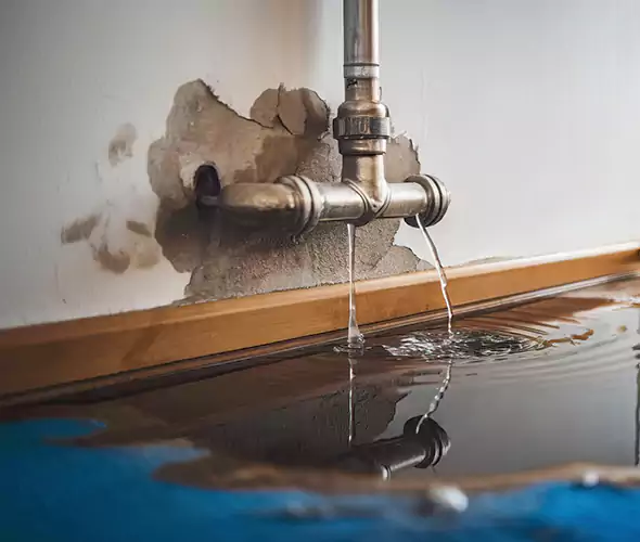 Professional Water Damage Restoration Experts in San Joaquin, CA — Fast, Reliable & Certified