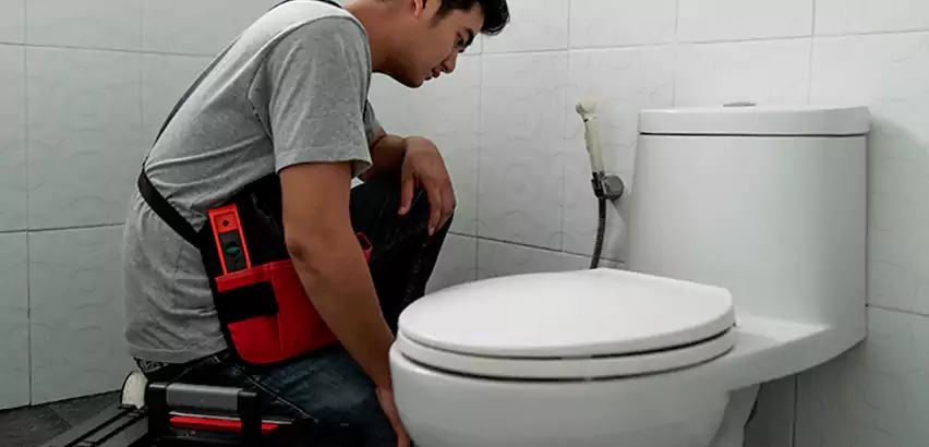 Toilet Repair in San Joaquin