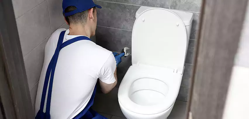 Toilet Lid Replacement in San Joaquin