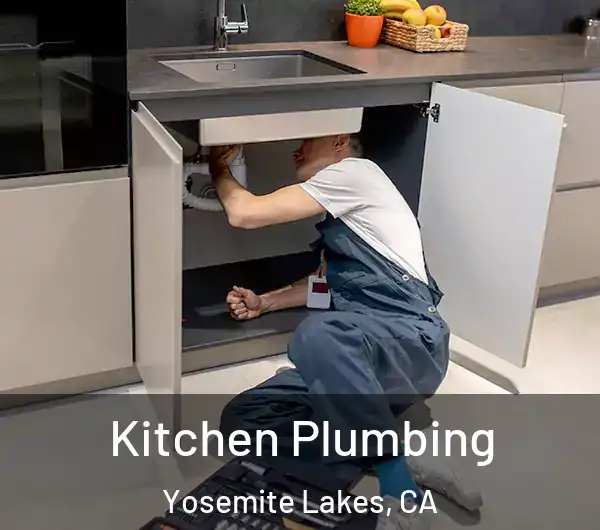  Kitchen Plumbing Yosemite Lakes, CA