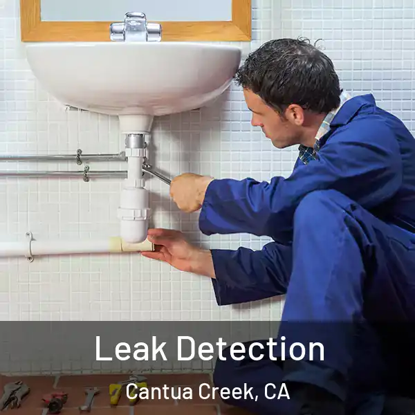  Leak Detection Cantua Creek, CA