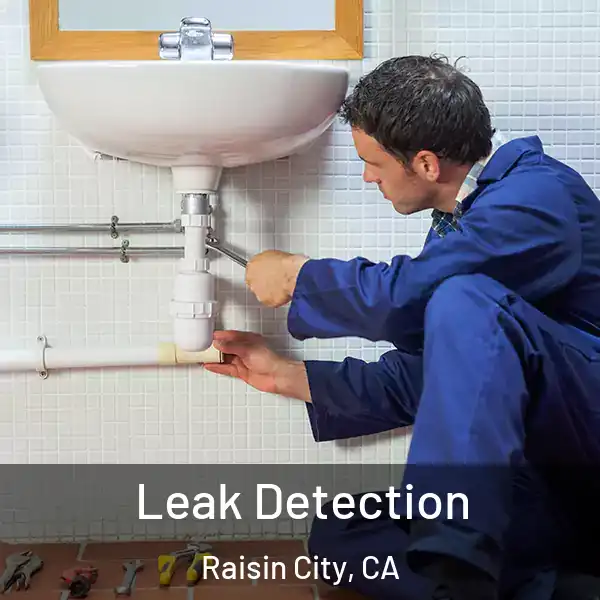  Leak Detection Raisin City, CA