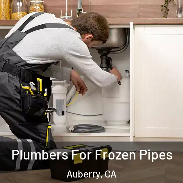  Plumbers For Frozen Pipes Auberry, CA