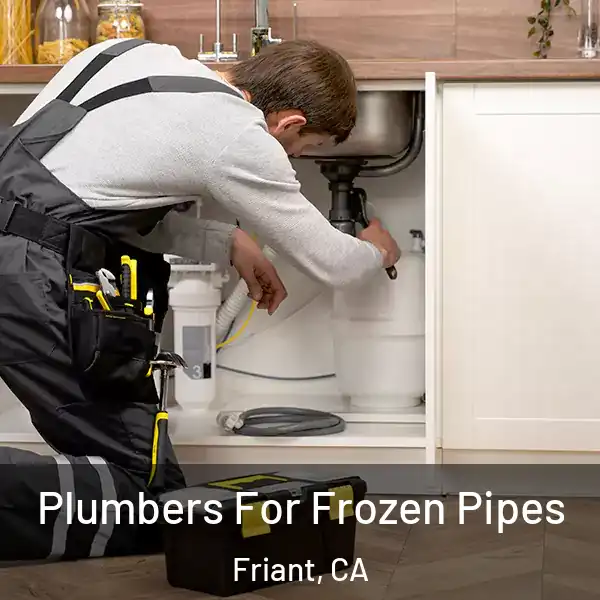  Plumbers For Frozen Pipes Friant, CA