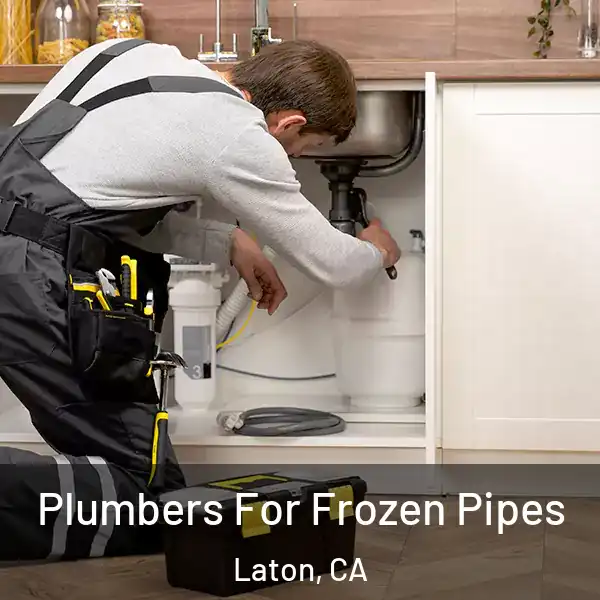  Plumbers For Frozen Pipes Laton, CA