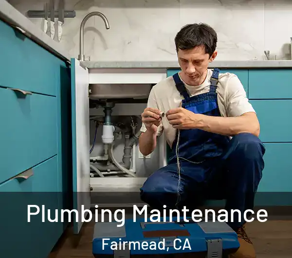  Plumbing Maintenance Fairmead, CA