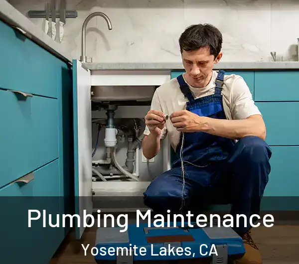  Plumbing Maintenance Yosemite Lakes, CA
