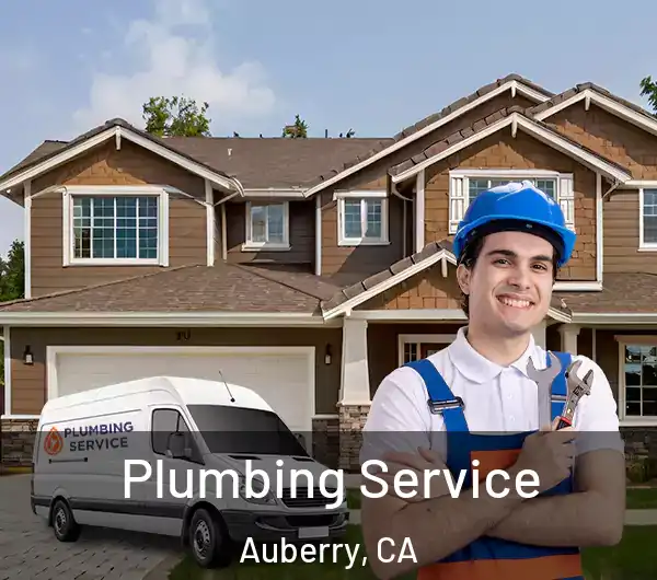  Plumbing Service Auberry, CA