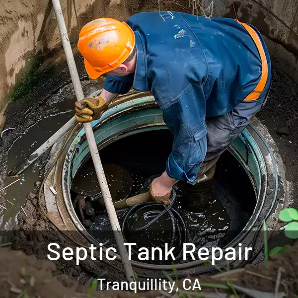  Septic Tank Repair Tranquillity, CA