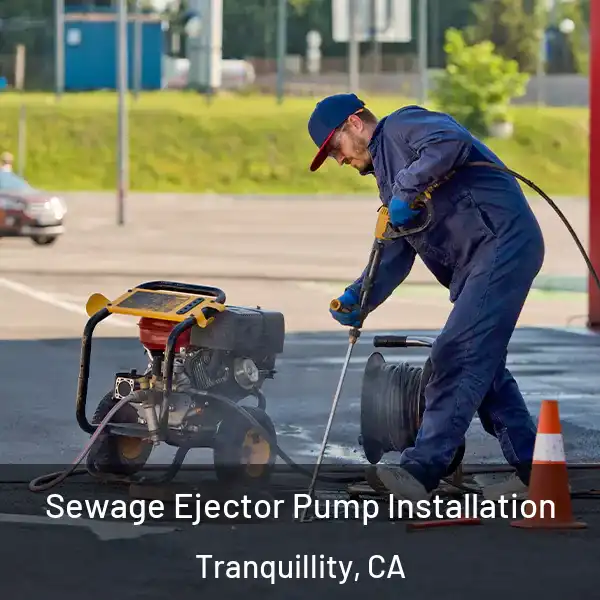  Sewage Ejector Pump Installation Tranquillity, CA