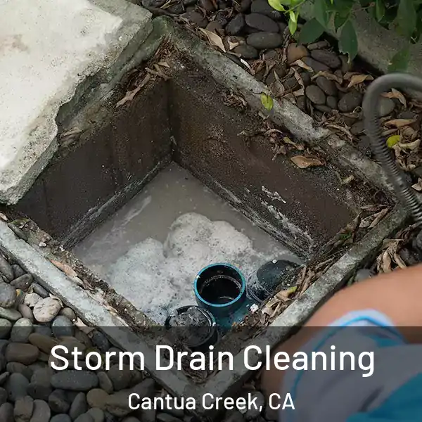  Storm Drain Cleaning Cantua Creek, CA