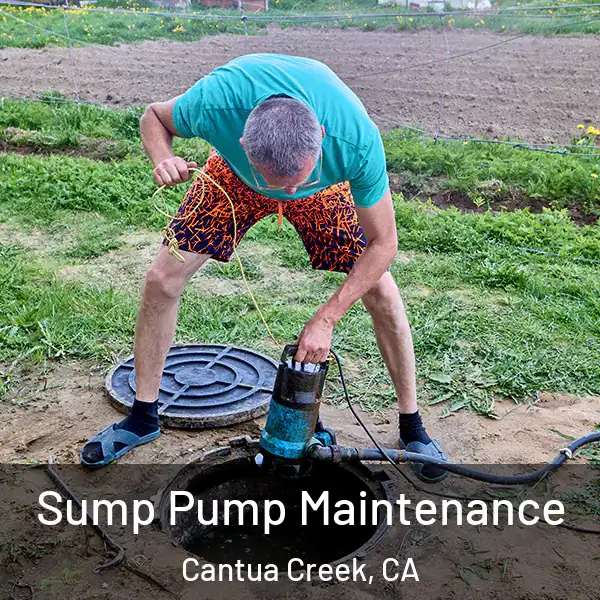  Sump Pump Maintenance Cantua Creek, CA