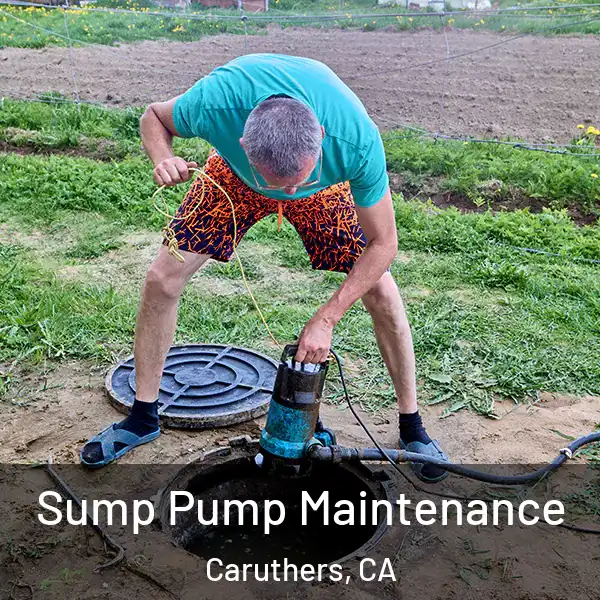  Sump Pump Maintenance Caruthers, CA