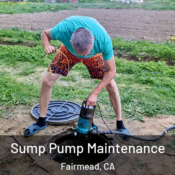  Sump Pump Maintenance Fairmead, CA
