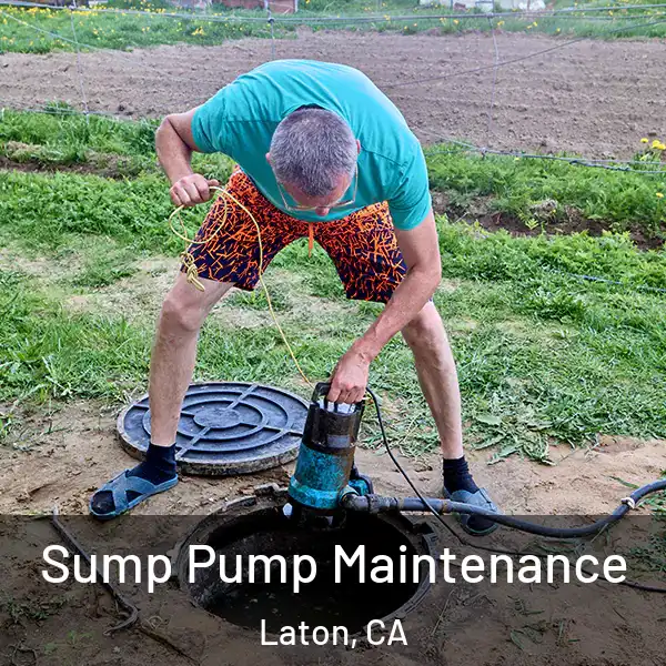  Sump Pump Maintenance Laton, CA