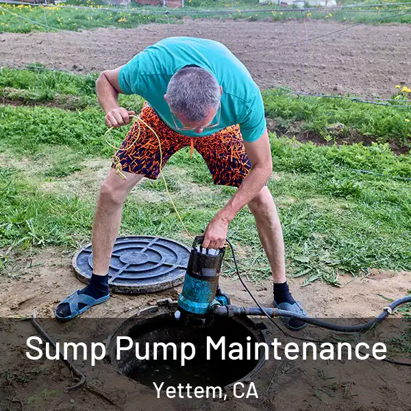  Sump Pump Maintenance Yettem, CA