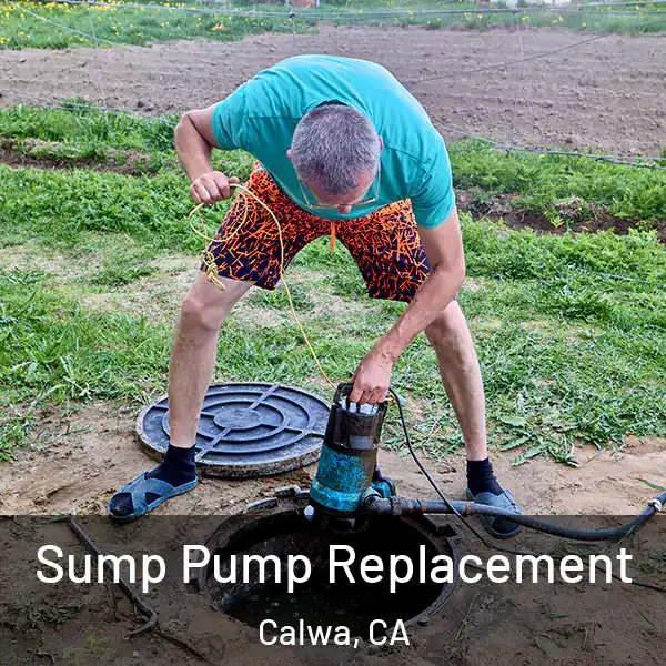  Sump Pump Replacement Calwa, CA