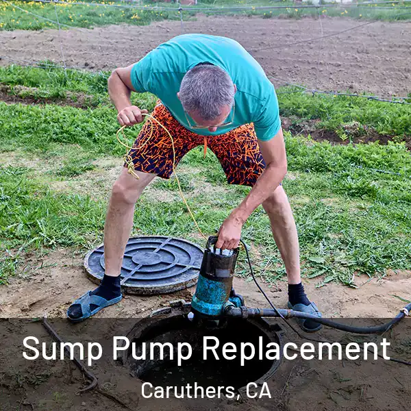  Sump Pump Replacement Caruthers, CA