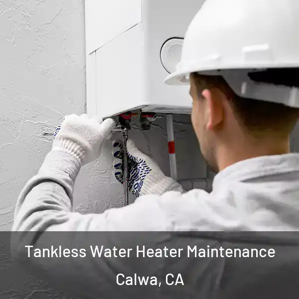  Tankless Water Heater Maintenance Calwa, CA