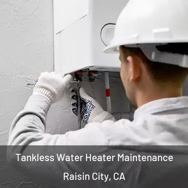  Tankless Water Heater Maintenance Raisin City, CA