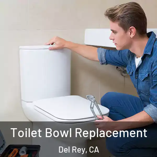  Toilet Bowl Replacement Del Rey, CA