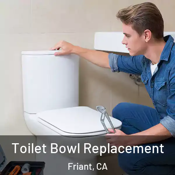  Toilet Bowl Replacement Friant, CA