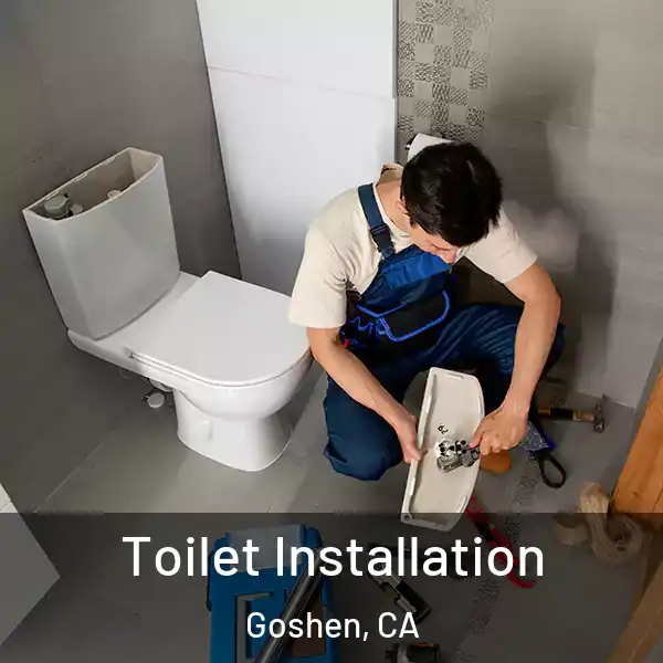  Toilet Installation Goshen, CA