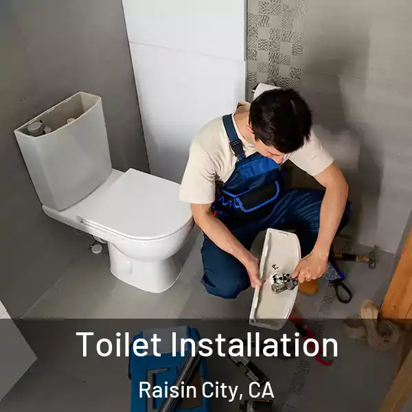  Toilet Installation Raisin City, CA
