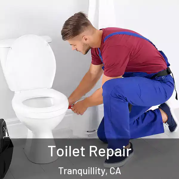  Toilet Repair Tranquillity, CA