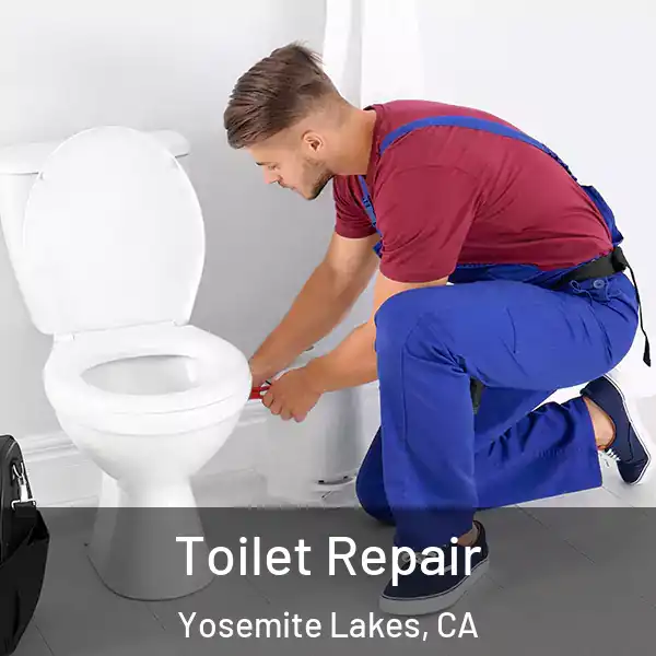  Toilet Repair Yosemite Lakes, CA