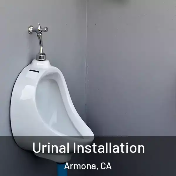  Urinal Installation Armona, CA