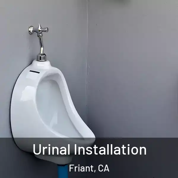  Urinal Installation Friant, CA