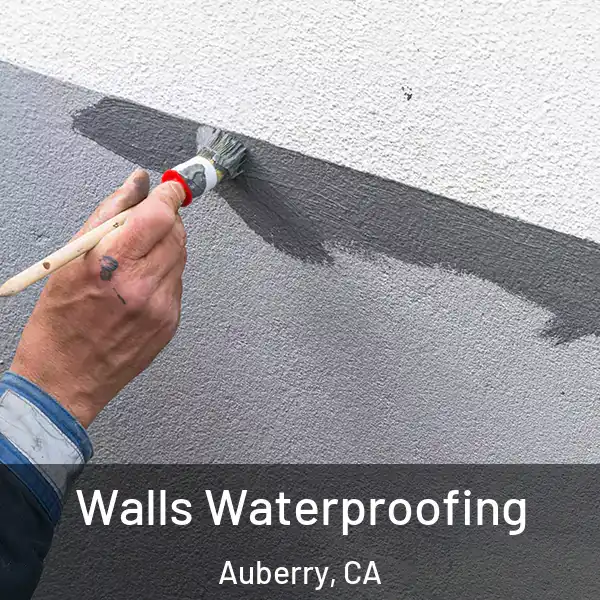  Walls Waterproofing Auberry, CA