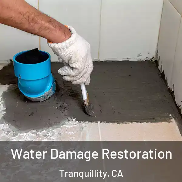  Water Damage Restoration Tranquillity, CA