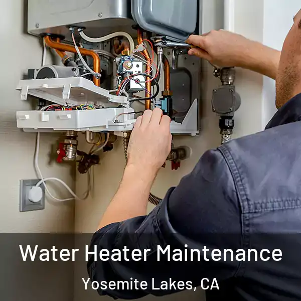  Water Heater Maintenance Yosemite Lakes, CA